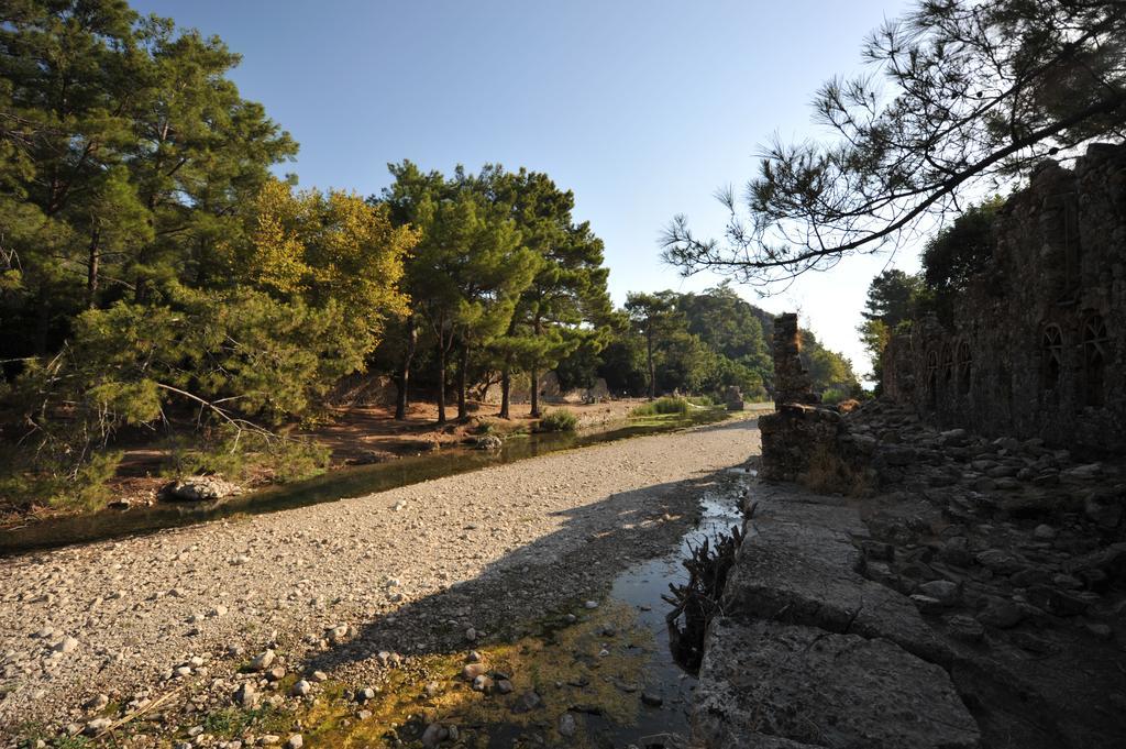 Olympos Koyevi Countryhouse Eksteriør billede