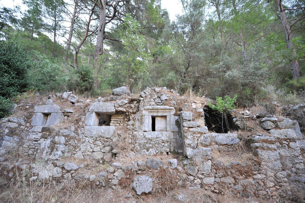 Olympos Koyevi Countryhouse Eksteriør billede