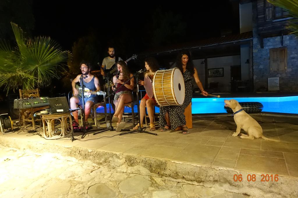 Olympos Koyevi Countryhouse Eksteriør billede